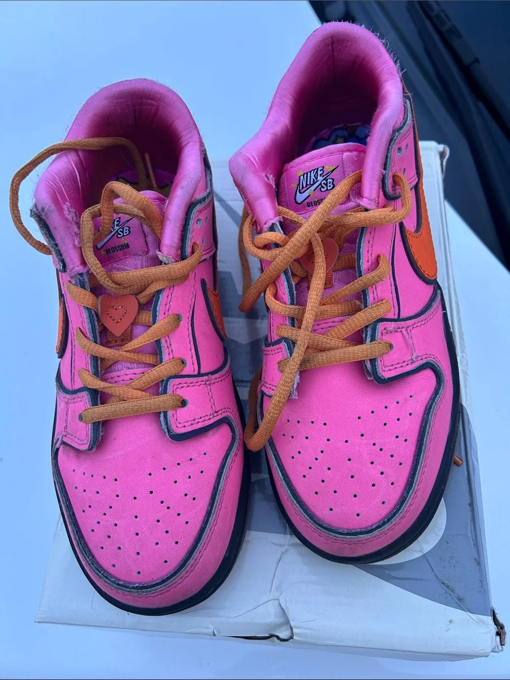 Nike Kids Powerpuff  girl Low-Top Dunks